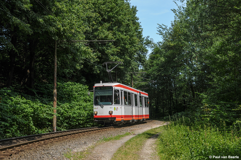 Als een interlokale tramlijn kronkelt lijn 310 nu nog enkelsporig door het bos bij Papenholz, 4 juni 2011. In de toekomst zal dit gedeelte komen te vervallen. Foto: Paul van Baarle.